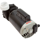 Pump, LX 56WUA, 4.0hp, 230v, 1-Spd, 56Fr, 2", SD, Bracketless : 56WUA400-I(NF) - Lingxiao (LX) Pump - 56WUA400-I(NF) - PartsForSpas.com
