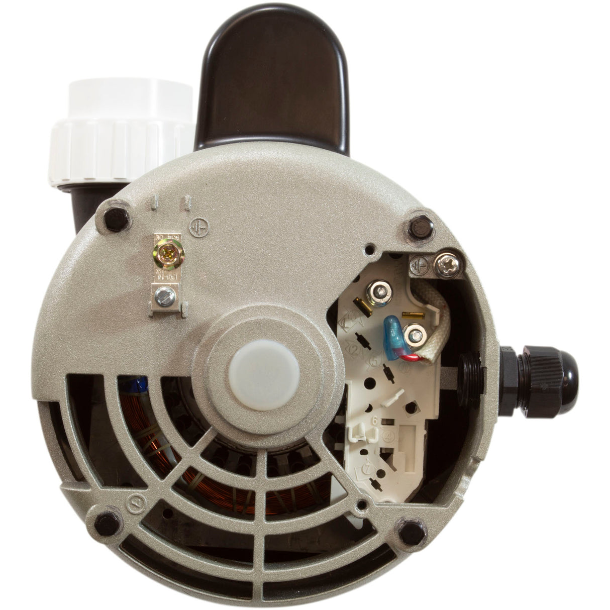Pump, LX 56WUA, 4.0hp, 230v, 1-Spd, 56Fr, 2", SD, Bracketless : 56WUA400-I(NF) - Lingxiao (LX) Pump - 56WUA400-I(NF) - PartsForSpas.com