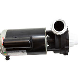 Pump, LX 56WUA, 4.0hp, 230v, 1-Spd, 56Fr, 2", SD, Bracketless : 56WUA400-I(NF) - Lingxiao (LX) Pump - 56WUA400-I(NF) - PartsForSpas.com