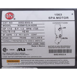 Pump, Circ, Gecko Aqua Flo CMHP, 1/15hp, 115v, 1-1/2", OEM : 02093000-2010 - Aquaflo/Gecko - 02093000-2010 - PartsForSpas.com