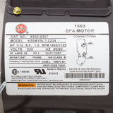 Pump, Cir, Gecko AquaFlo CMXP, 1/12 OP HP, 230v 1-Spd, 0.6A, 48Fr : 06093000-2000