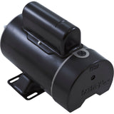 Unassembled Pump Kit, FMHP, 1.5hp Century, 115v, 2Sp, 48f, 1-1/2" : 02115000-1010HZW - AquaFlo/Century - 02115000-1010HZW - PartsForSpas.com