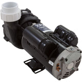 Pump, Aqua Flo XP2, 2.0hp, 230v, 2-Spd, 48fr, 2", OEM : 06120500-2040 - Aquaflo/Gecko - 06120500-2040 - PartsForSpas.com
