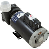 Pump, Gecko XP2E, 5.0hp, 230v, 2-Spd, 56fr, 2.5" Intake, 2"Dis, OEM : 05340011-5040 - Gecko Alliance - 05340011-5040 - PartsForSpas.com