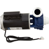 Pump, Aqua Flo Maelstrom, 2.0hp, 230v, 2-Spd, 56fr, 2", OEM : 0800-390005 - Aquaflo/Gecko - 0800-390005 - PartsForSpas.com