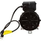 Pump, Bath, BWG Vico WOW, 0.5hp, 5.5A, 115V, w/Air Switch&Cord, OEM : 1050031