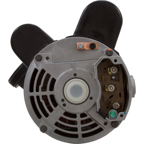 Pump, BWG, 2-Spd, 2.5hp, 230v, 60Hz, OEM : 6500-343 - Balboa Water Group - 6500-343 - PartsForSpas.com