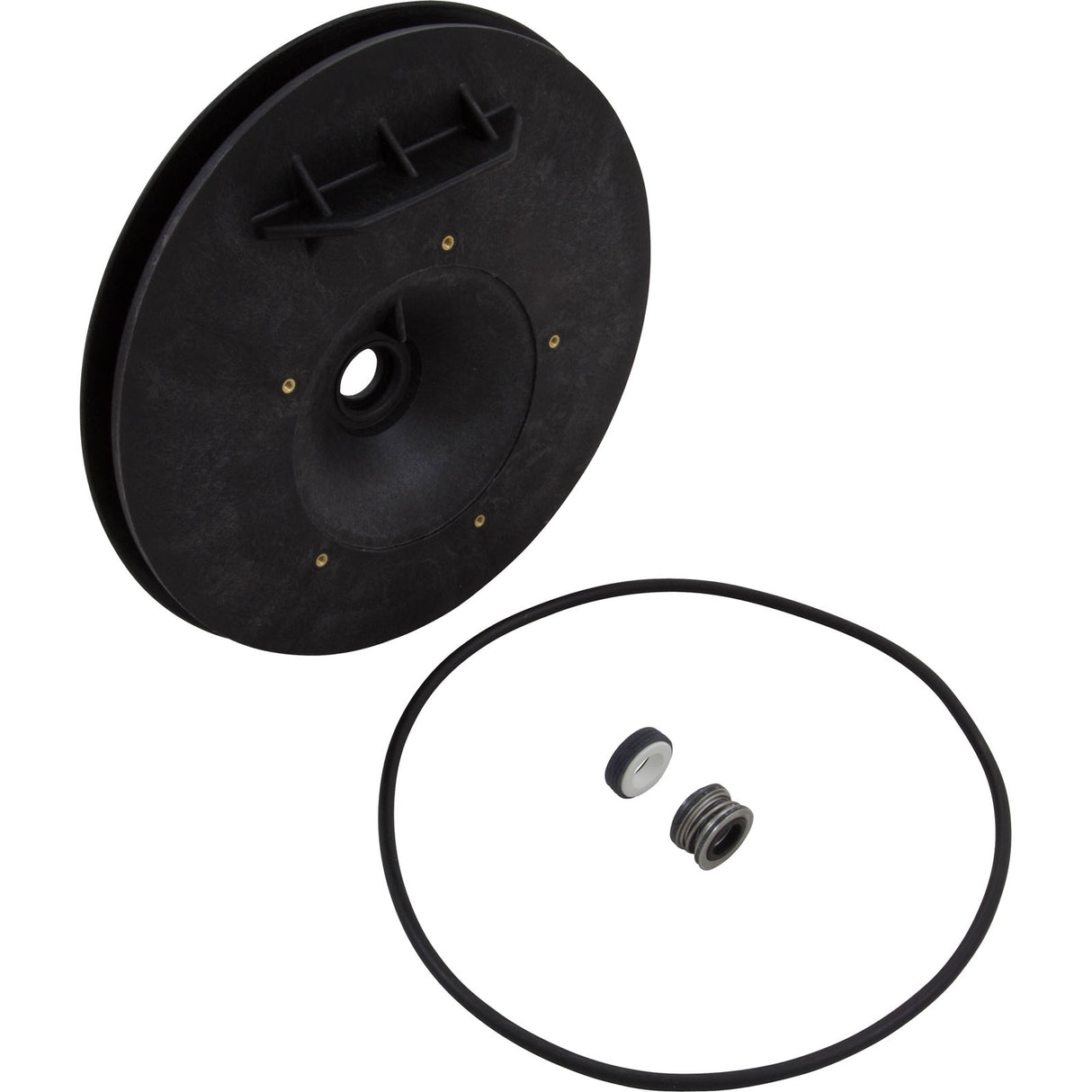Seal Plate Kit, Pentair Sta-Rite DuraGlas : C203-193P - StaRite/Pentair - 022315214125 - PartsForSpas.com