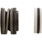 Shaft Seal, Pent StaRite DuraGlas, 5/8" Shaft, Buna, Pre 1998 : U109-93SS - StaRite/Pentair - 788379850333 - PartsForSpas.com