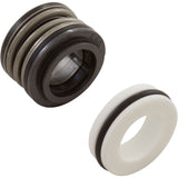 Shaft Seal, Pent StaRite DuraGlas, 5/8" Shaft, Buna, Pre 1998 : U109-93SS - StaRite/Pentair - 788379850333 - PartsForSpas.com