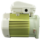 Motor, Pentair WF/SuperFlo, 1.0hp, 115v/208-230v, 1-Spd, TEFC : 354821S