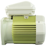 Motor, Pentair WF/SuperFlo, 1.0hp, 115v/208-230v, 1-Spd, TEFC : 354821S