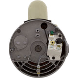 Motor, Pentair SF/WF, 0.75hp, 115/208-230v, 1-Spd, SQFL, EE, Full : 355008S