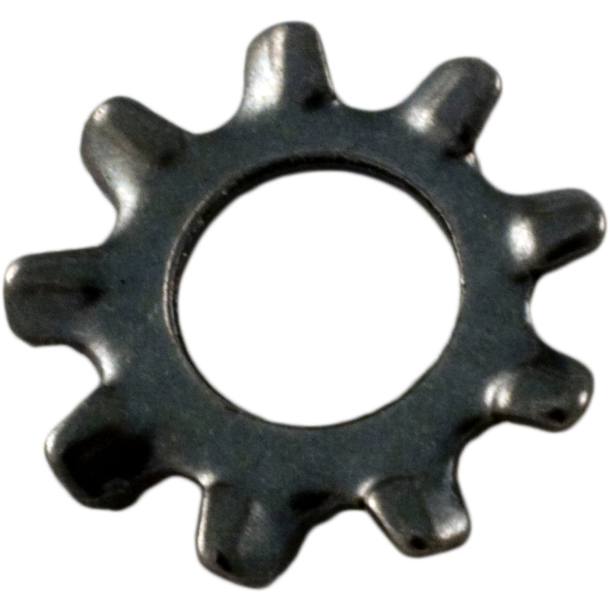 Lock Washer, Pentair Sta-Rite LT, Number 10 : U43-22SS - StaRite/Pentair - 7.8838E+11 - PartsForSpas.com