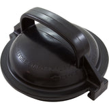 Lid, Pentair Dynamo, for Bacquacil : 354113 - Pentair - 788379658182 - PartsForSpas.com