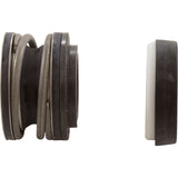 Shaft Seal Kit, Pentair 7HN/10HN/10SN/15SN, An A1 1-1 : PP1551 - Pentair - PP1551 - PartsForSpas.com