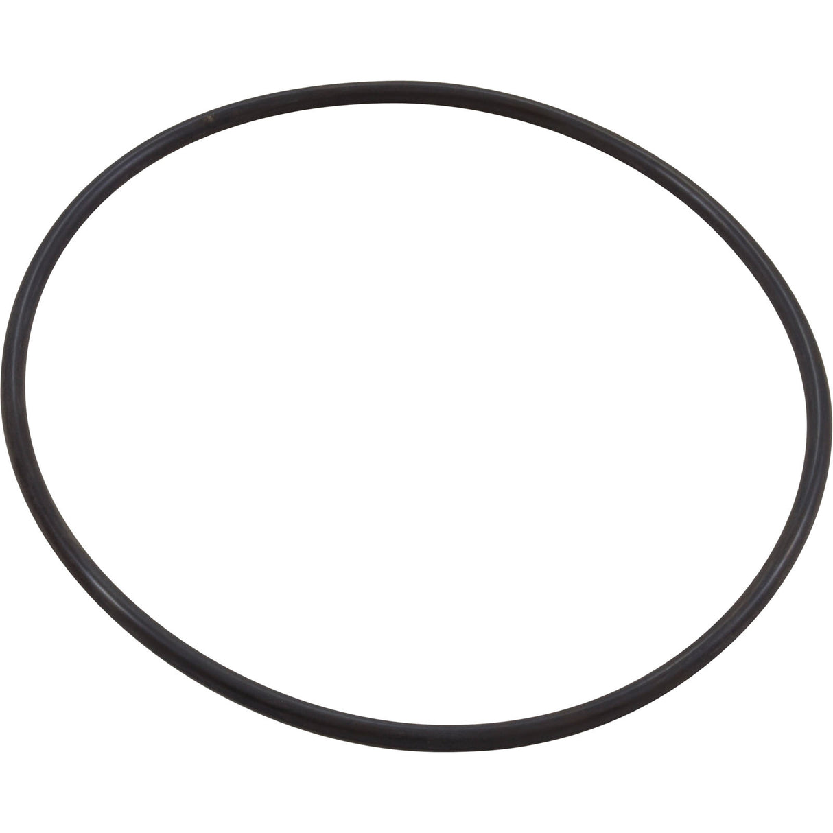 Seal Plate O-Ring, Pentair IntelliFloXF/IntelliProXF : 351446Z - Pentair - 788379911102 - PartsForSpas.com