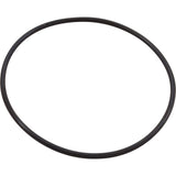 Seal Plate O-Ring, Pentair IntelliFloXF/IntelliProXF : 351446Z - Pentair - 788379911102 - PartsForSpas.com