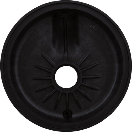 Volute, Pentair DuraGlas : C176-47P1Z - Pentair - 788379911041 - PartsForSpas.com