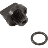 Drain Plug, Pentair Sta-Rite, 1/4"mpt, with O-Ring : U178-920PZ - Pentair - 788379885458 - PartsForSpas.com