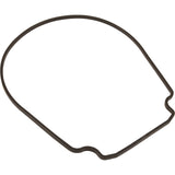 Gasket, Pentair Purex IntelliFlo VS, Seal Plate, Special ID/OD : 357100Z