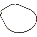 Gasket, Pentair Purex IntelliFlo VS, Seal Plate, Special ID/OD : 357100Z