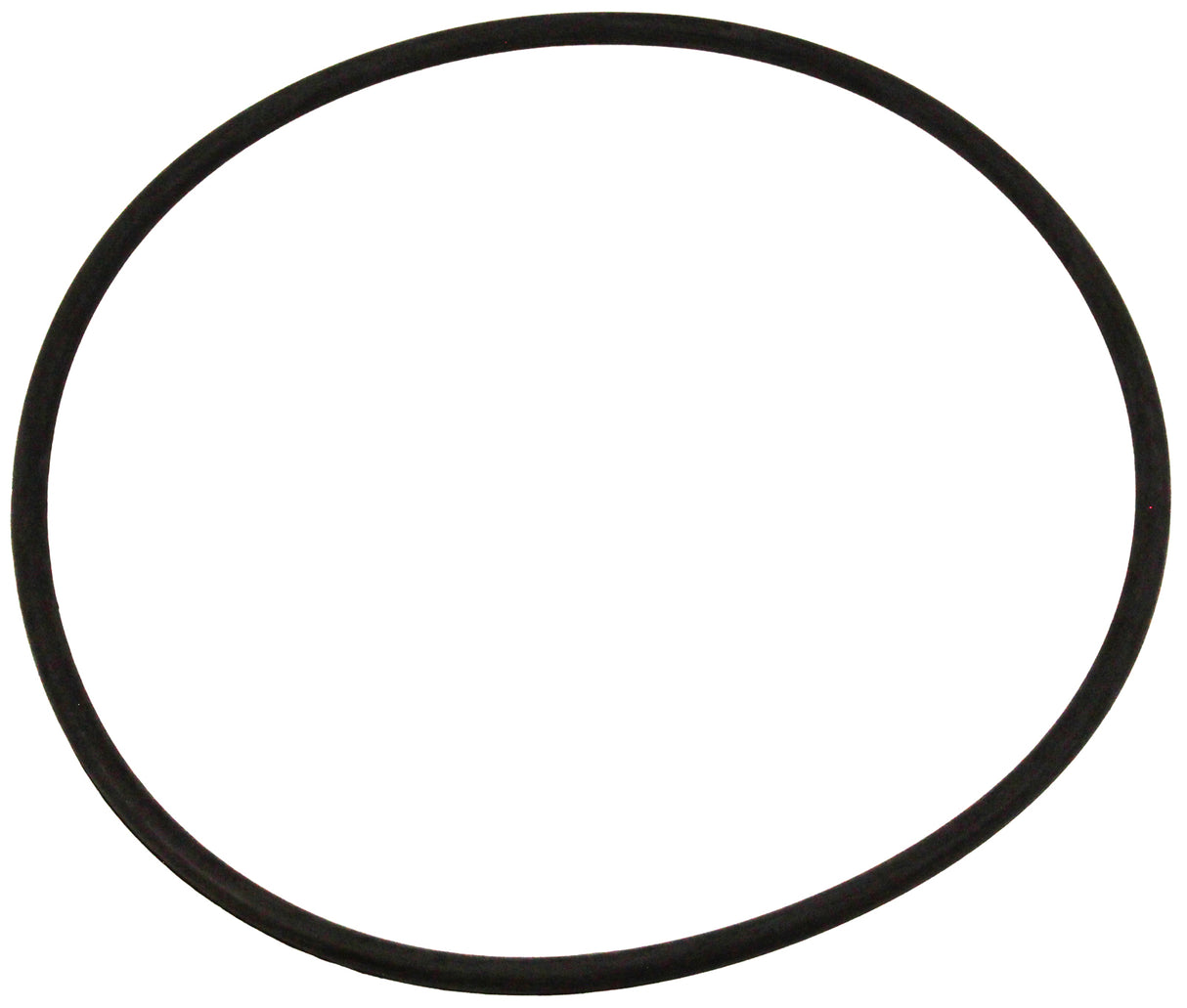 O-Ring, Pentair EQ Series, Seal Plate, 11"ID, 3/8" CS : 356780Z - Pentair - 788379909949 - PartsForSpas.com