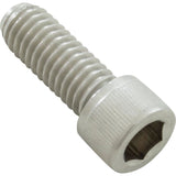 Screw, Pentair EQ Series Impeller, Sckt Hd, 3/8"-18 x 1", SS : 071037Z - Pentair - 788379909840 - PartsForSpas.com
