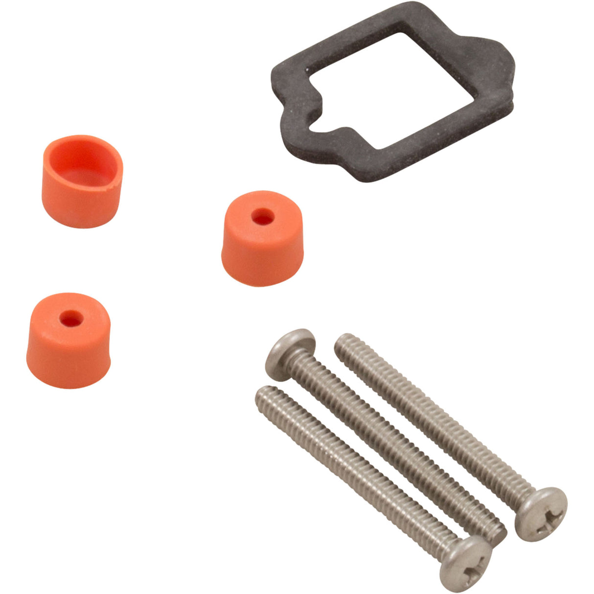 Drive Kit Assembly, Pentair IntelliFlo VSF : 356922Z - Pentair - 788379878757 - PartsForSpas.com