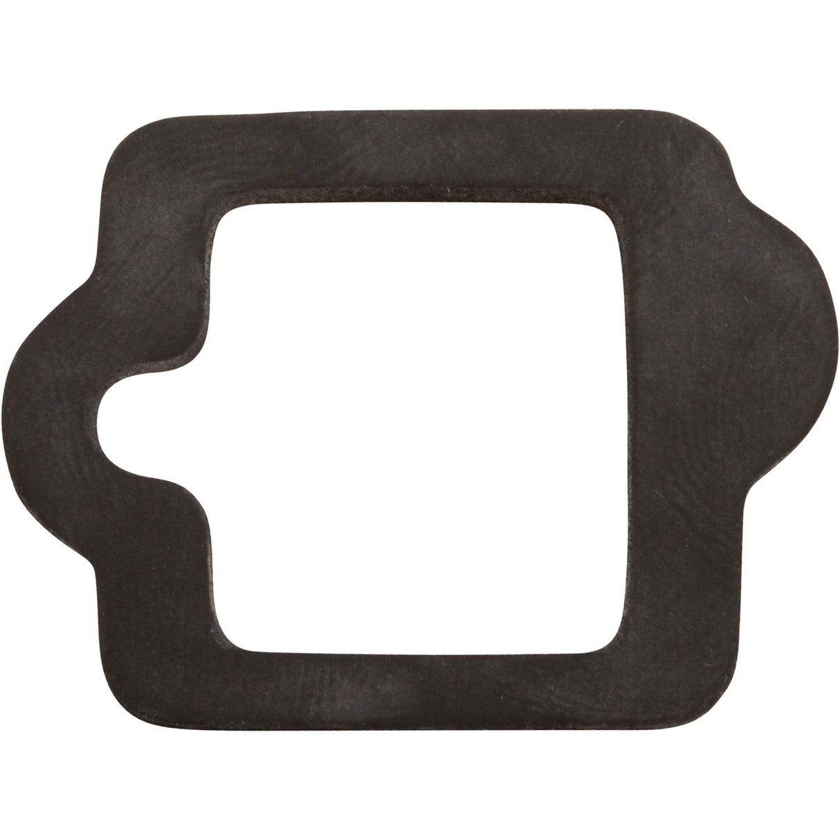 Gasket, Pentair IntelliFlo VS, Drive : 350108