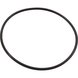 O-Ring, Pentair IntelliFloXF/IntelliProXF, Seal Plate : 351446