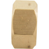 Nut, Pentair EQ Series, Hex, 5/8" -11, Brass, qty 5 : 356776 - Pentair Pool Products - 788379689742 - PartsForSpas.com