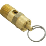 Pressure Relief Valve, Pentair EQ Series, 1/4" : 350087 - Pentair Pool Products - 350087 - PartsForSpas.com