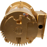 Motor, Pentair, 5.0 Horsepower, 230v, 1 Speed, C-Series : 071366S - Pentair Pool Products - 788379804862 - PartsForSpas.com