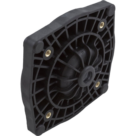 Seal Plate, Pentair StaRite SuperMax, Black : 355612Z - StaRite/Pentair - 788379914400 - PartsForSpas.com