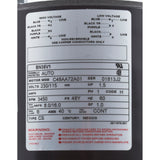 Motor, Century, 1.5 Horsepower, 115v/230v, 1 Speed, 48 Frame : BN35V1