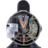 Motor, Century, 1.0 Horsepower, 115v, 2 Speed, 48 Frame : BN37V1