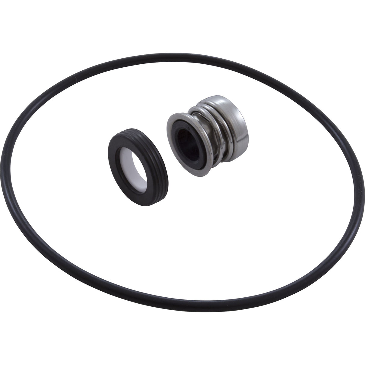 Shaft Seal and Pump Body O-Ring, Hayward VL Series, Kit : VLX4008