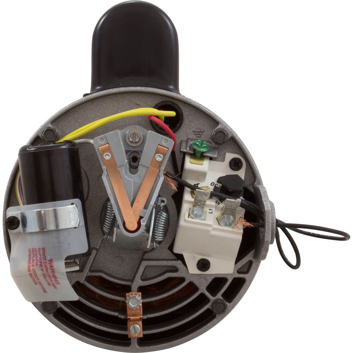 Motor, Hayward TriStar, 1.5hp, 1Spd, 115v/208-230v, SQFL, EE, Full : SPX3215Z1BER