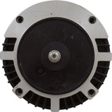 Motor, Hayward NorthStar SP4000, 1.5hp, 1-Spd, Full Rated, EE : SPX1615Z1BNS