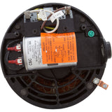 Motor, Hayward NorthStar SP4000, 1.5hp, 1-Spd, Full Rated, EE : SPX1615Z1BNS