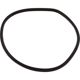 T-Ring, Hayward Northstar SP4000/4000X, Trap Body, pre-2008 : SPX4000TS - Hayward - 0610377745154 - PartsForSpas.com