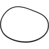 O-Ring, Hayward HCP, Flange : HCXP6016A - Hayward Pool Products - 610377136303 - PartsForSpas.com
