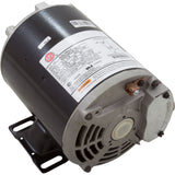 Motor, Nidec/US Motor, 0.75hp, 115v, 1-Speed, 48Y Frame : AGL75FL1