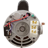 Motor, Nidec/US Motor, 1.0hp, 230v, 2-Spd, 56Yfr, SQFL, Full : ASB2982