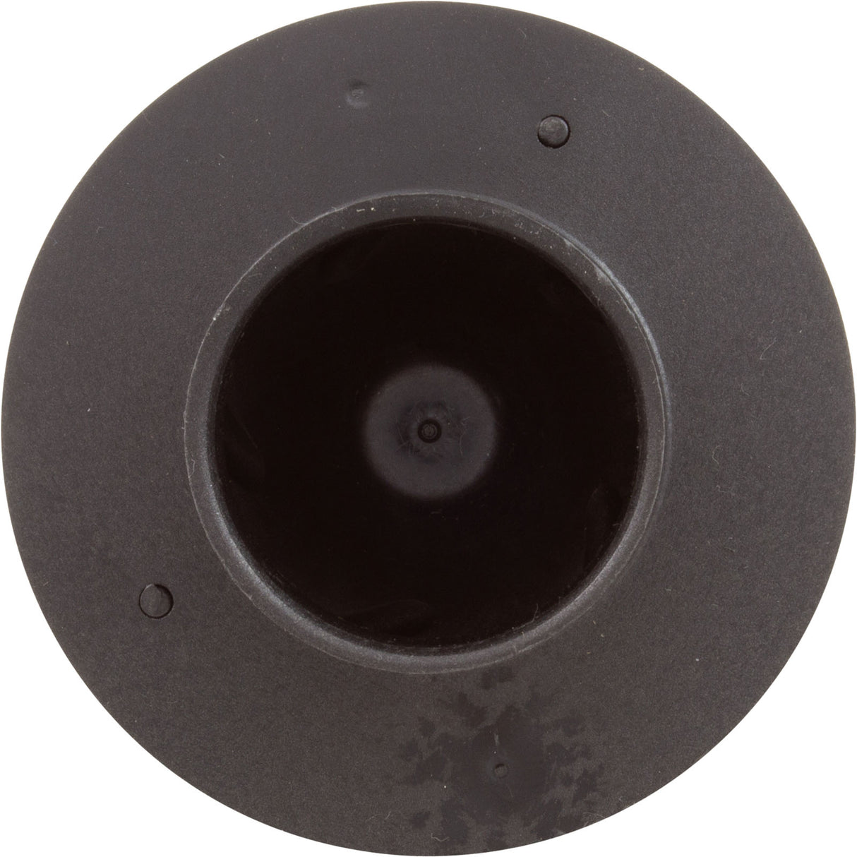 Impeller, Raypak Protege RPAGP75 : 018249F - Raypak - 840891043256 - PartsForSpas.com