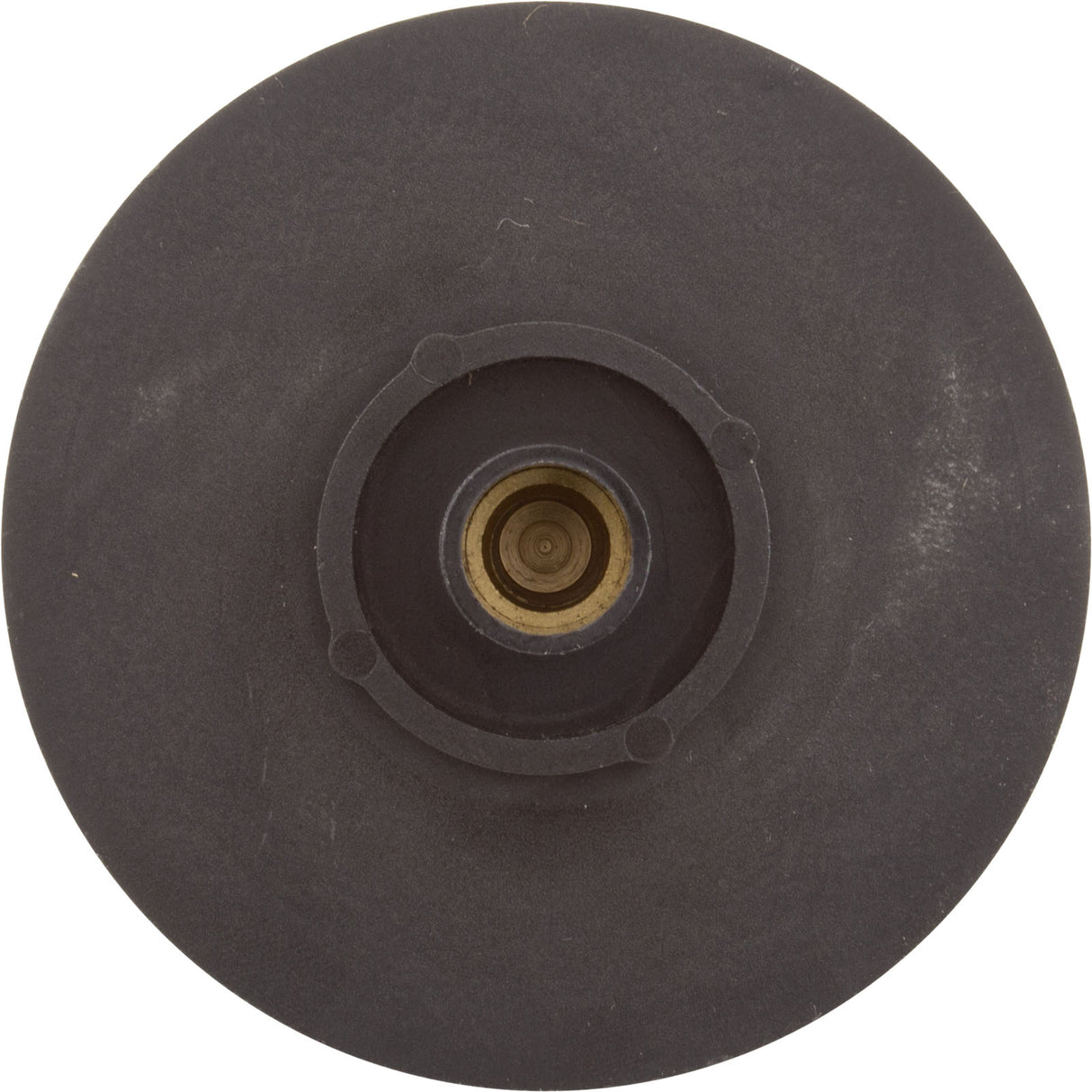 Impeller, Raypak Protege RPAGP100/102 : 018250F - Raypak - 840891043263 - PartsForSpas.com