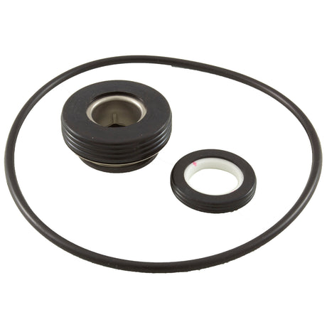Mechanical Seal, Raypak Protege RPAGP, With O-Ring : 018227F - Raypak - 8.40891E+11 - PartsForSpas.com