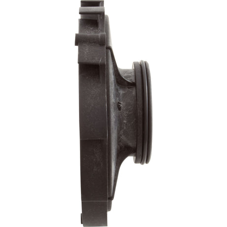 Diffuser, Raypak Protege RPVSP1, With O-Ring : 018232F - Raypak - 840891043423 - PartsForSpas.com