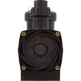 Trap/Pump Body Kit, Waterco Supastream/Supamite, 1-1/2"mpt : 63508110
